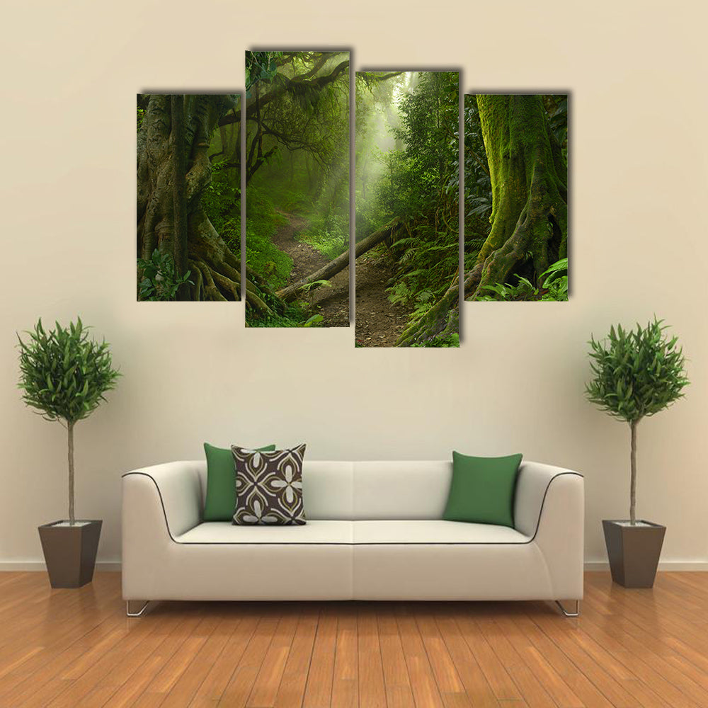 Asian Rain Forest With Sun Rays Canvas Wall Art