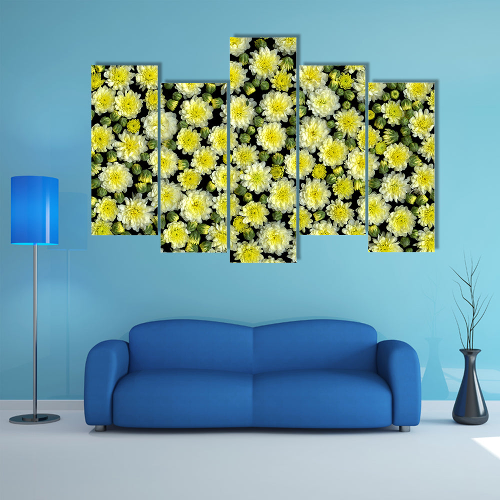 Yellow and White Chrysanthemums Canvas Wall Art