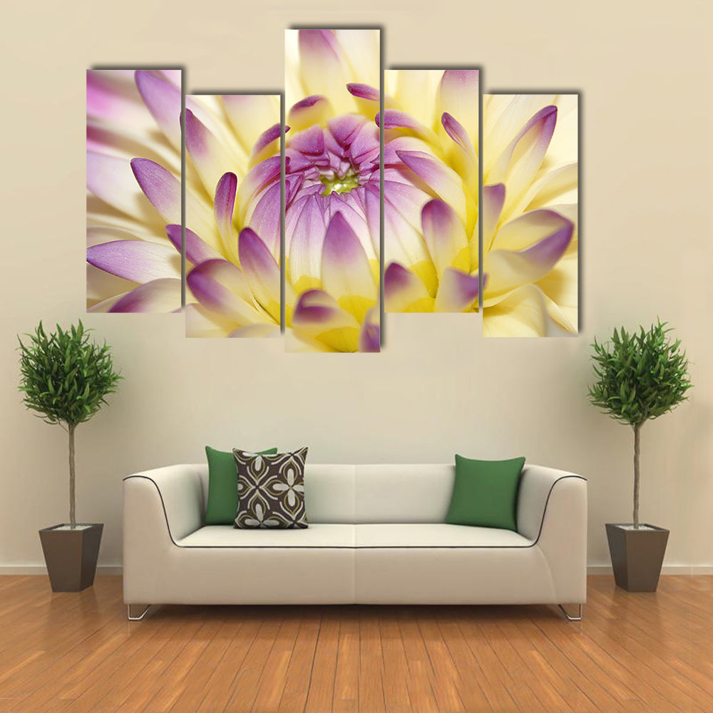 Macro Pink Flower Canvas Wall Art
