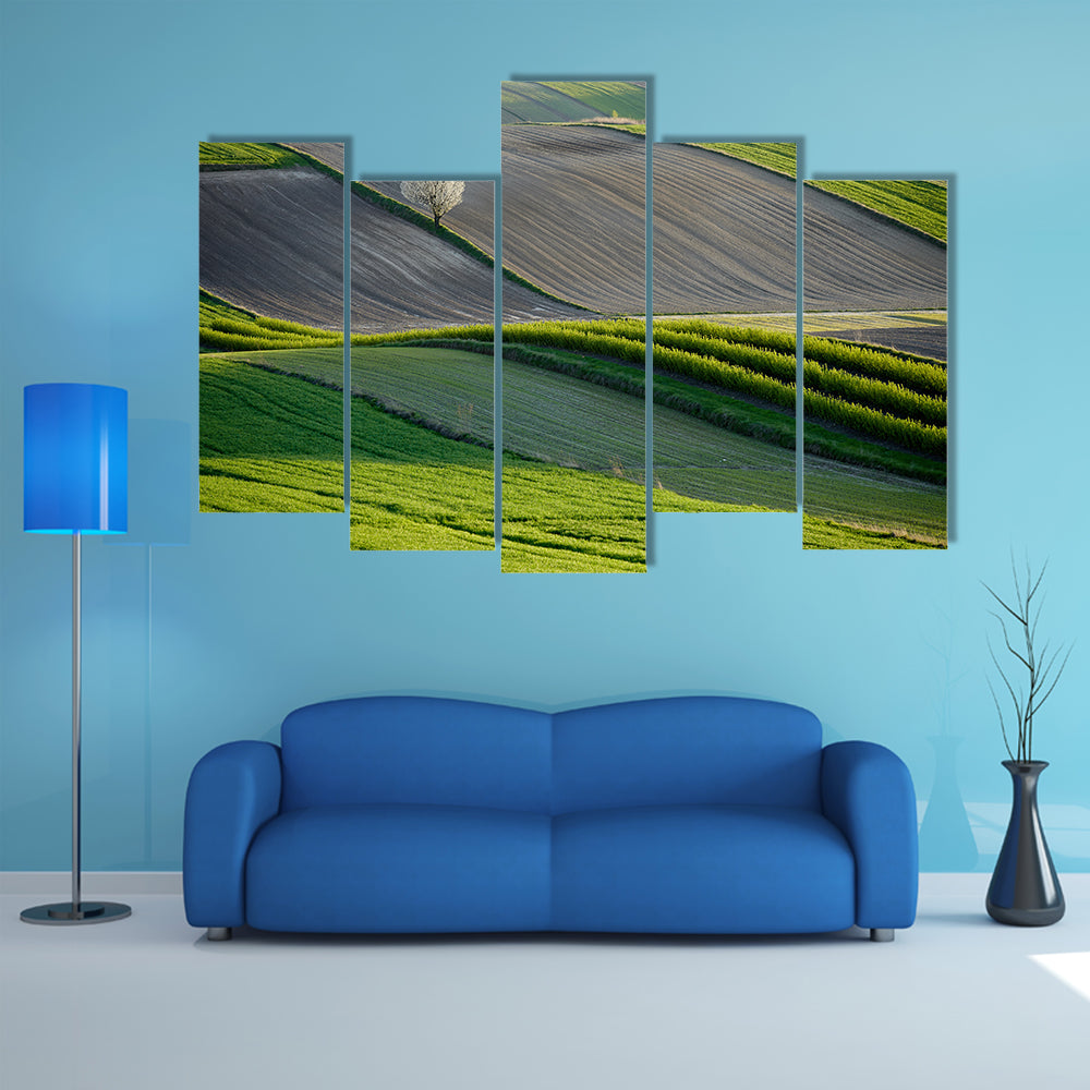 Wavy Fields In Poland Canvas Wall Art