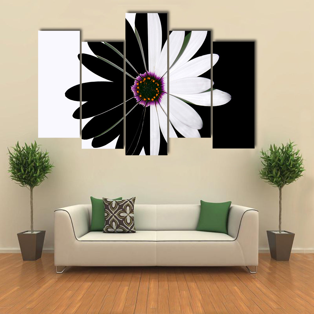 Black And White Flower Canvas Wall Art