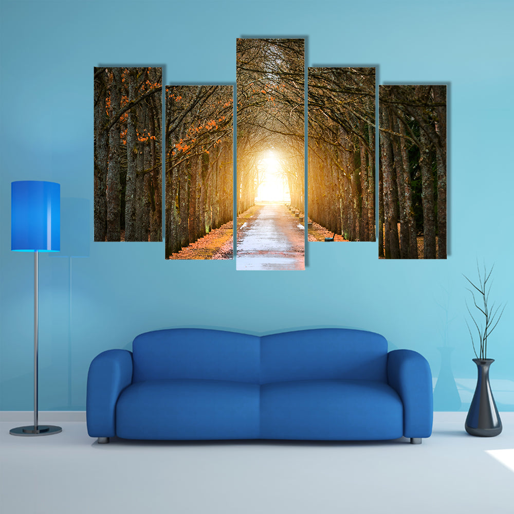 Autumn Tree Tunnel with Benches Canvas Wall Art