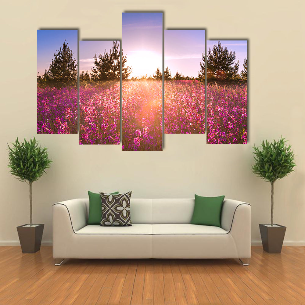 Blossoming Meadow at Sunrise Canvas Wall Art