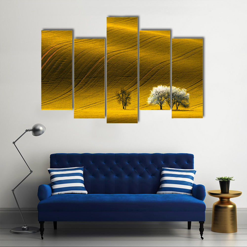 Spring Wavy Yellow Rapeseed Field Canvas Wall Art