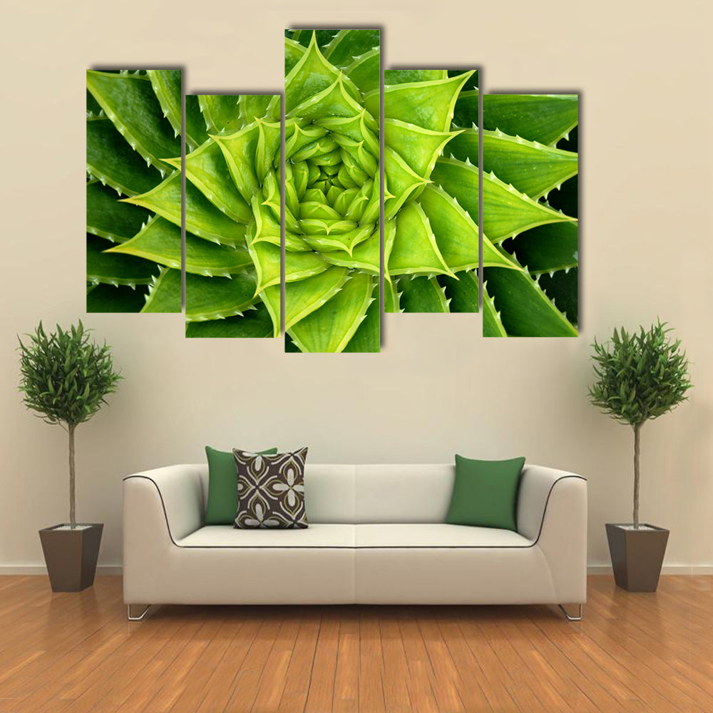 Vivid Green Spiral Aloe Plant Canvas Wall Art