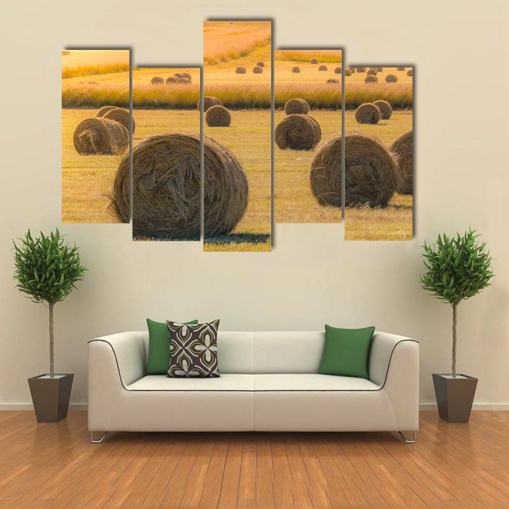 Hay Bales On Golden Field At Sunset Canvas Wall Art