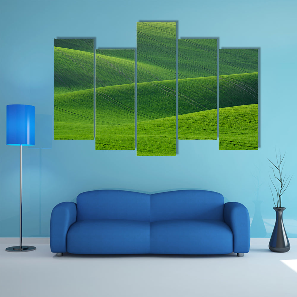 Rolling Green Hills in South Moravia Canvas Wall Art