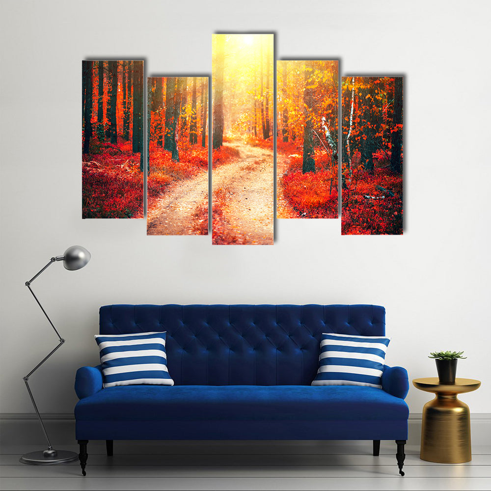 Autumnal Park With Pathway Canvas Wall Art