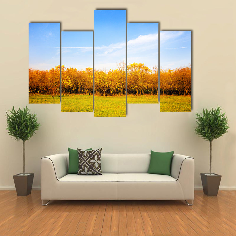 Autumn Meadow with Golden Leaves Canvas Wall Art