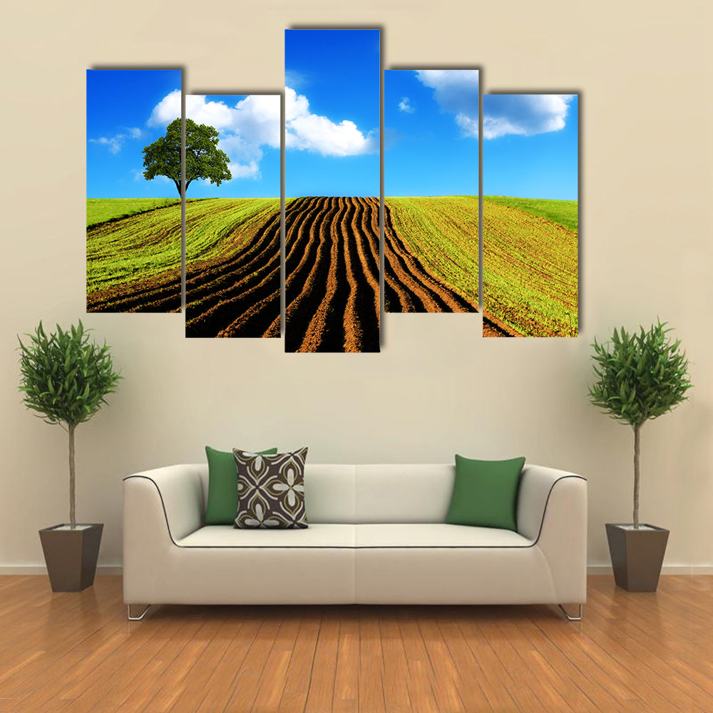 Ploughed Field with Lone Tree Canvas Wall Art
