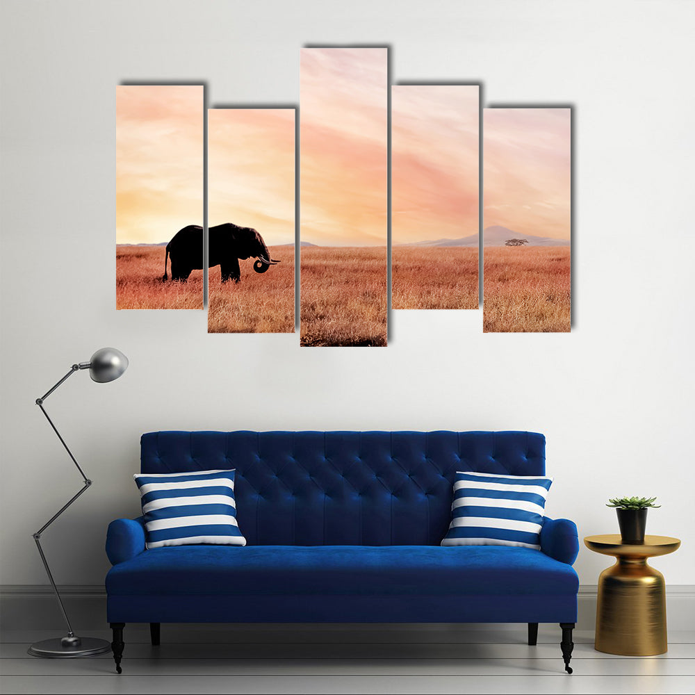 Lonely Elephant In Savannah Sunset Canvas Wall Art