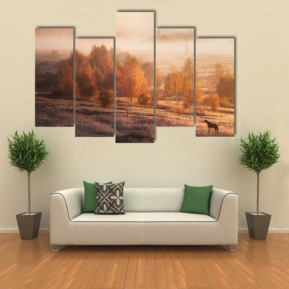 Autumn Horse in Russian Jungle Canvas Wall Art