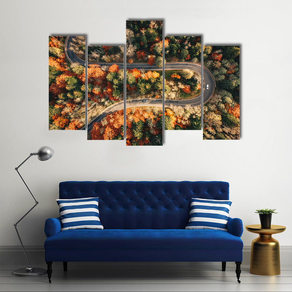 Winding Mountain Road Through Forest In Autumn Canvas Wall Art