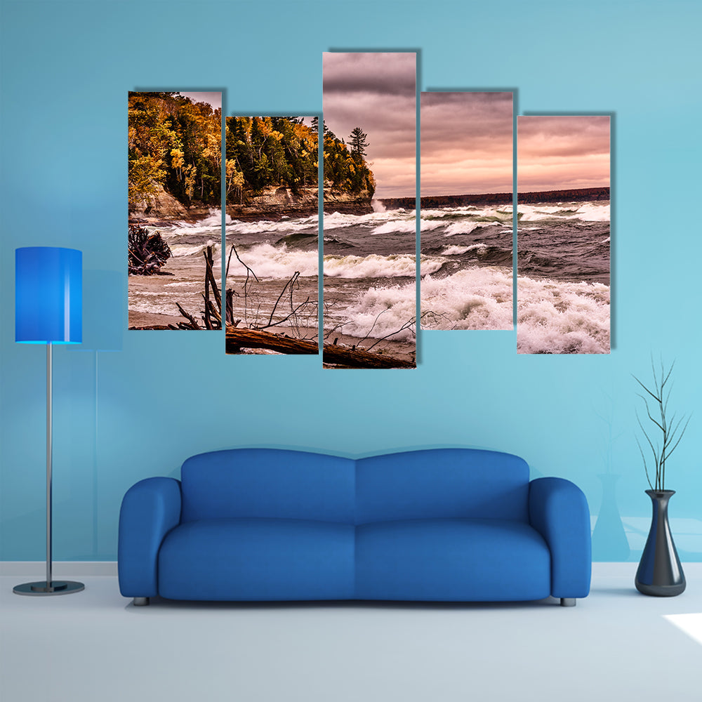 Driftwood on Autumn Lakeshore Canvas Wall Art