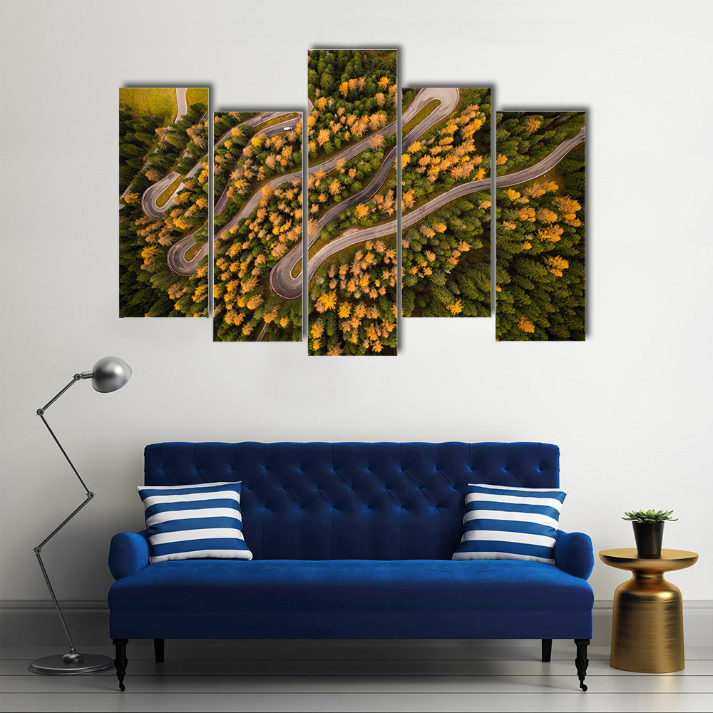 Curvy Road In Autumn Forest Canvas Wall Art