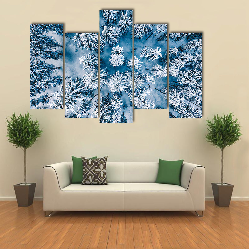 Trees And Snow In Winter Forest Canvas Wall Art