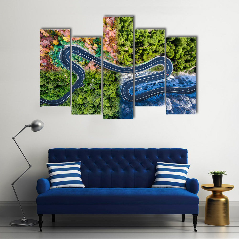 Highway Through The Forest Canvas Wall Art