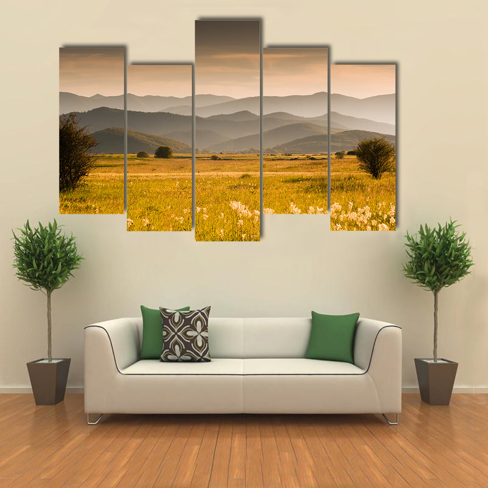 Golden Meadow and Rolling Hills Canvas Wall Art