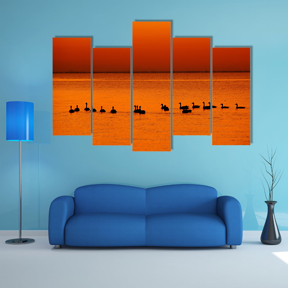 Family of Geese at Sunset Canvas Wall Art