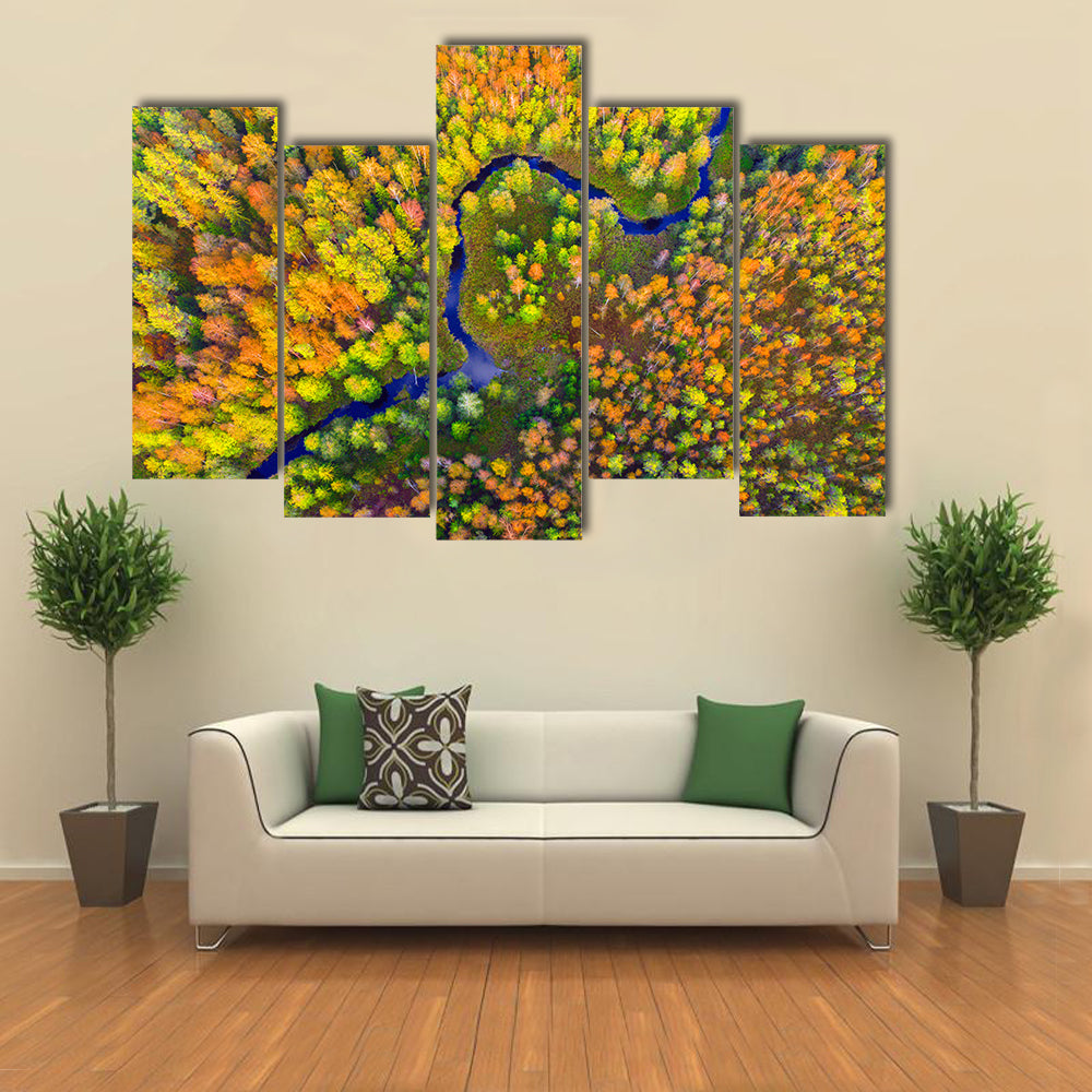 River In Autumn Forest Canvas Wall Art