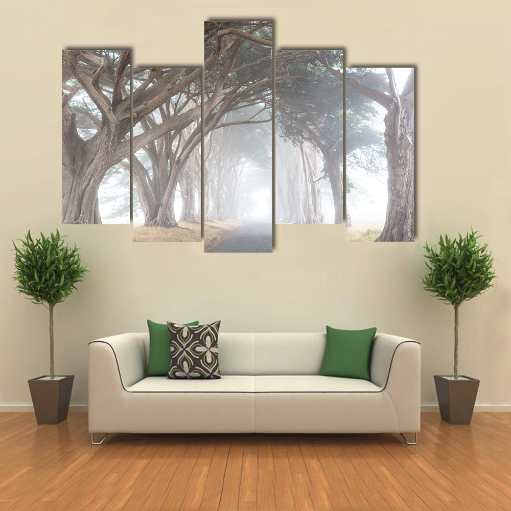 Misty Trees Alley In Foggy Weather Canvas Wall Art