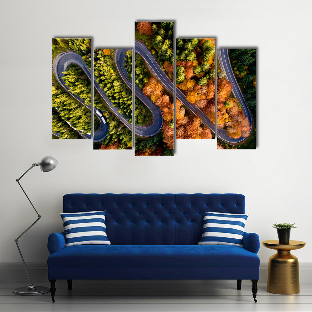 Serpentine Asphalt Road Canvas Wall Art
