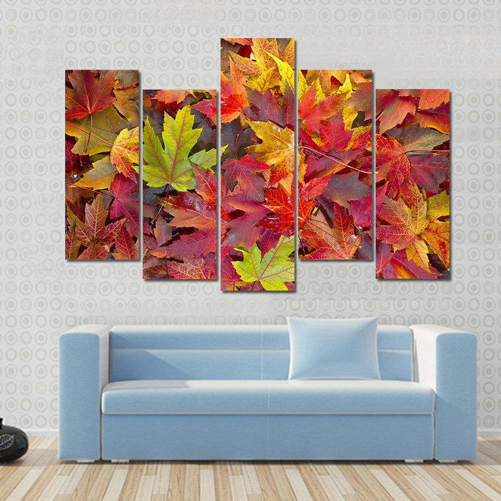 Colorful Maple Leaves Canvas Wall Art