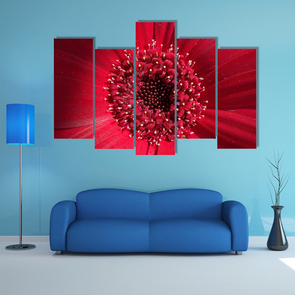 Red Gerbera Daisy Center Canvas Wall Art