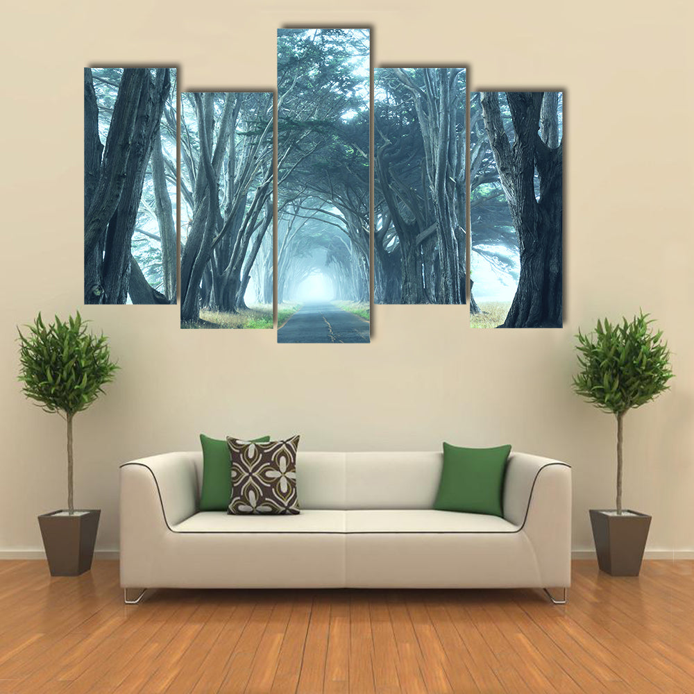 Misty Trees Alley In Foggy Weather Canvas Wall Art
