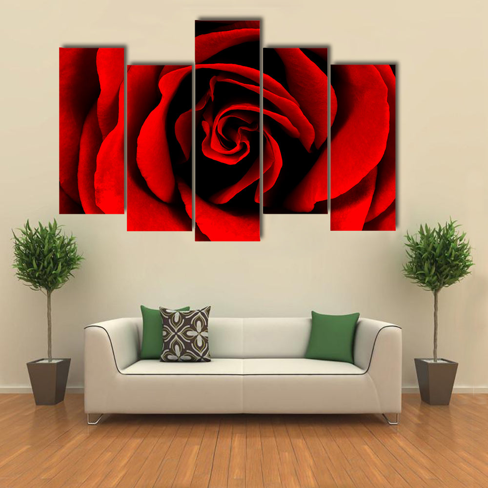 Closeup Of A Red Rose Canvas Wall Art