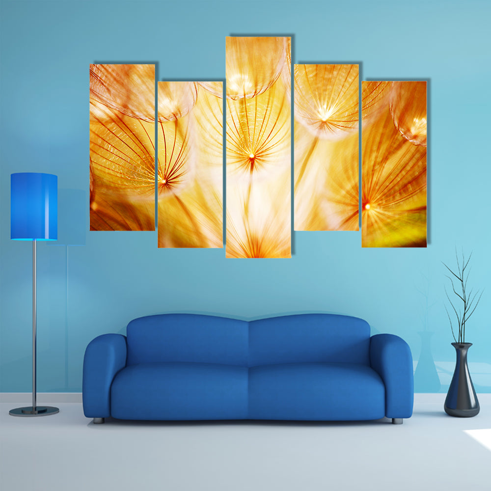 Soft Dandelion Flower Canvas Wall Art