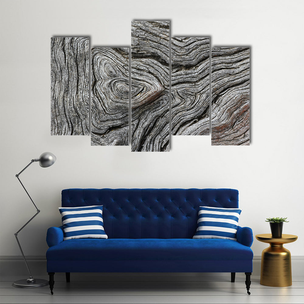 Weathered Wood Grain Macro Canvas Wall Art