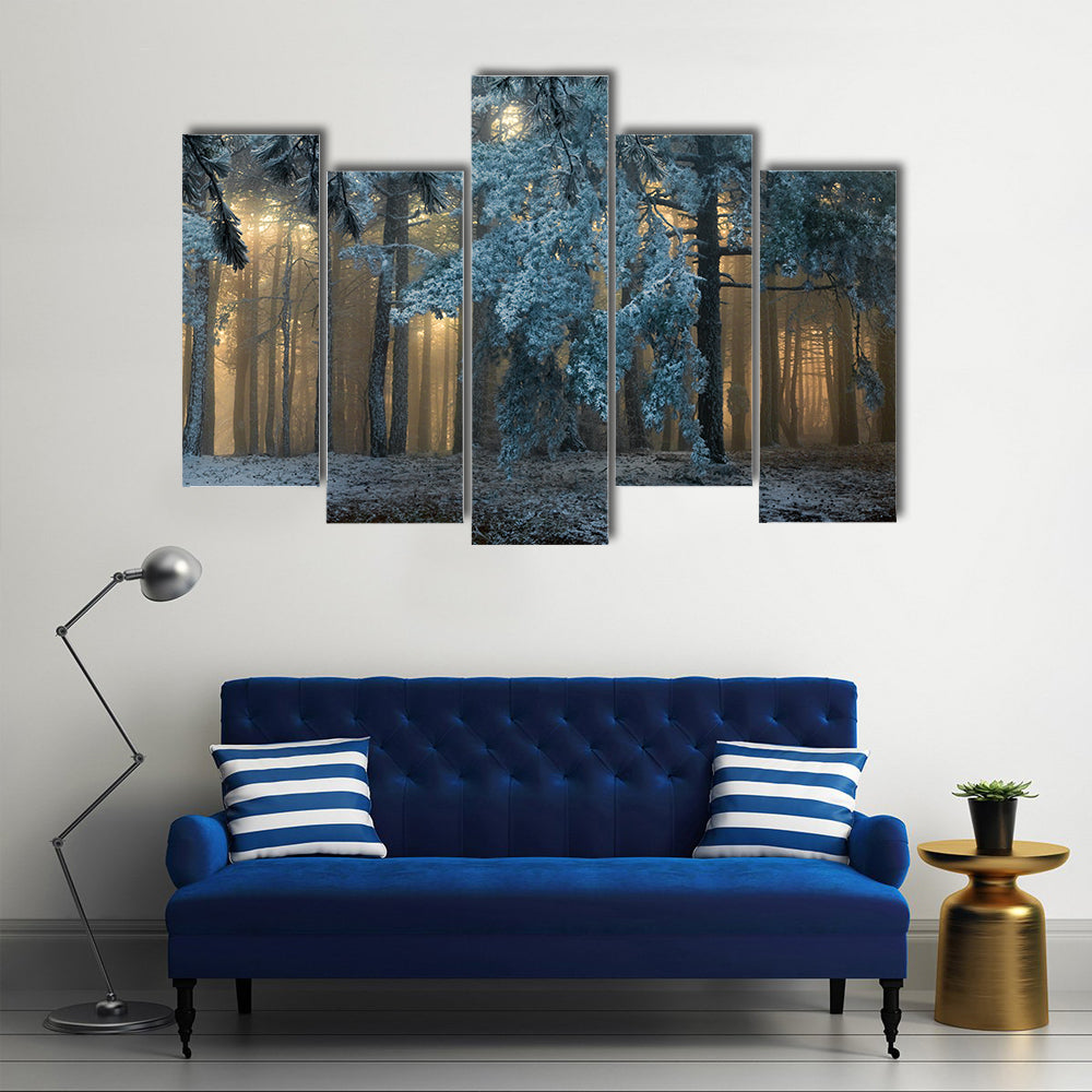 Fog In The forest In Uludag Turkey Canvas Wall Art