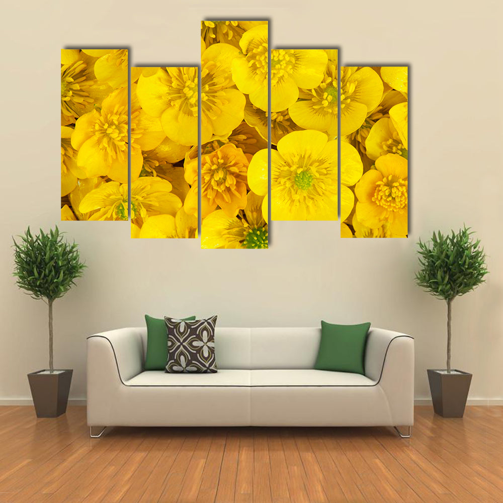 Yellow Wild Buttercups Canvas Wall Art
