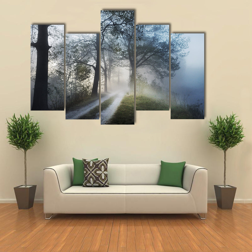 Foggy Forest Path at Sunrise Canvas Wall Art