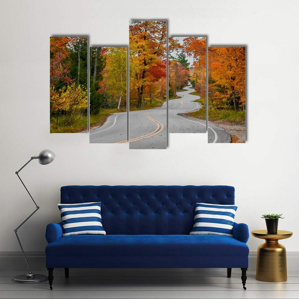 Winding Road In Wisconsin Canvas Wall Art
