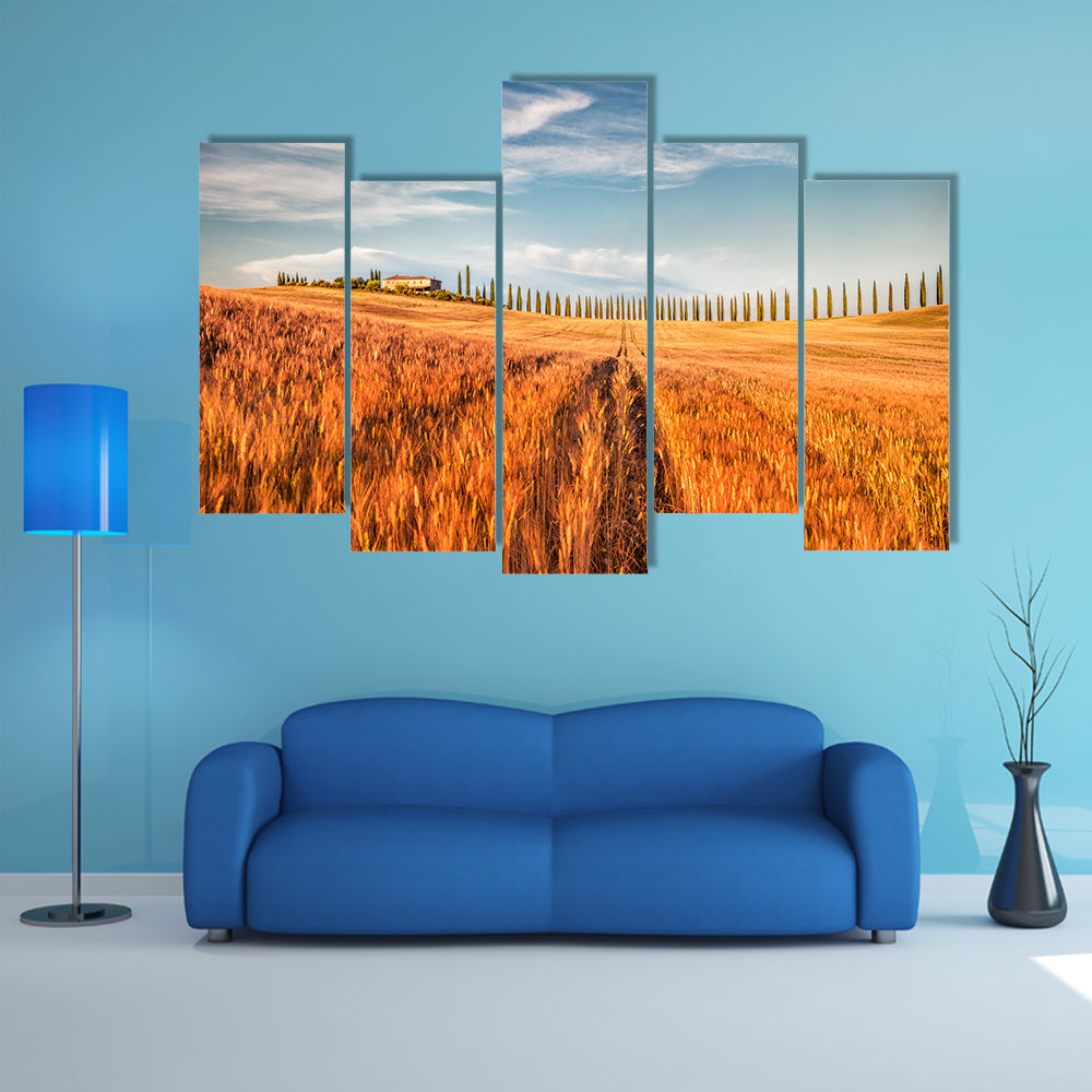 Wheat Field In Tuscany Canvas Wall Art
