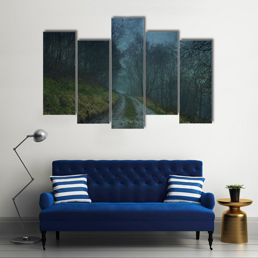 Foggy Forest Path Under Starry Sky Canvas Wall Art