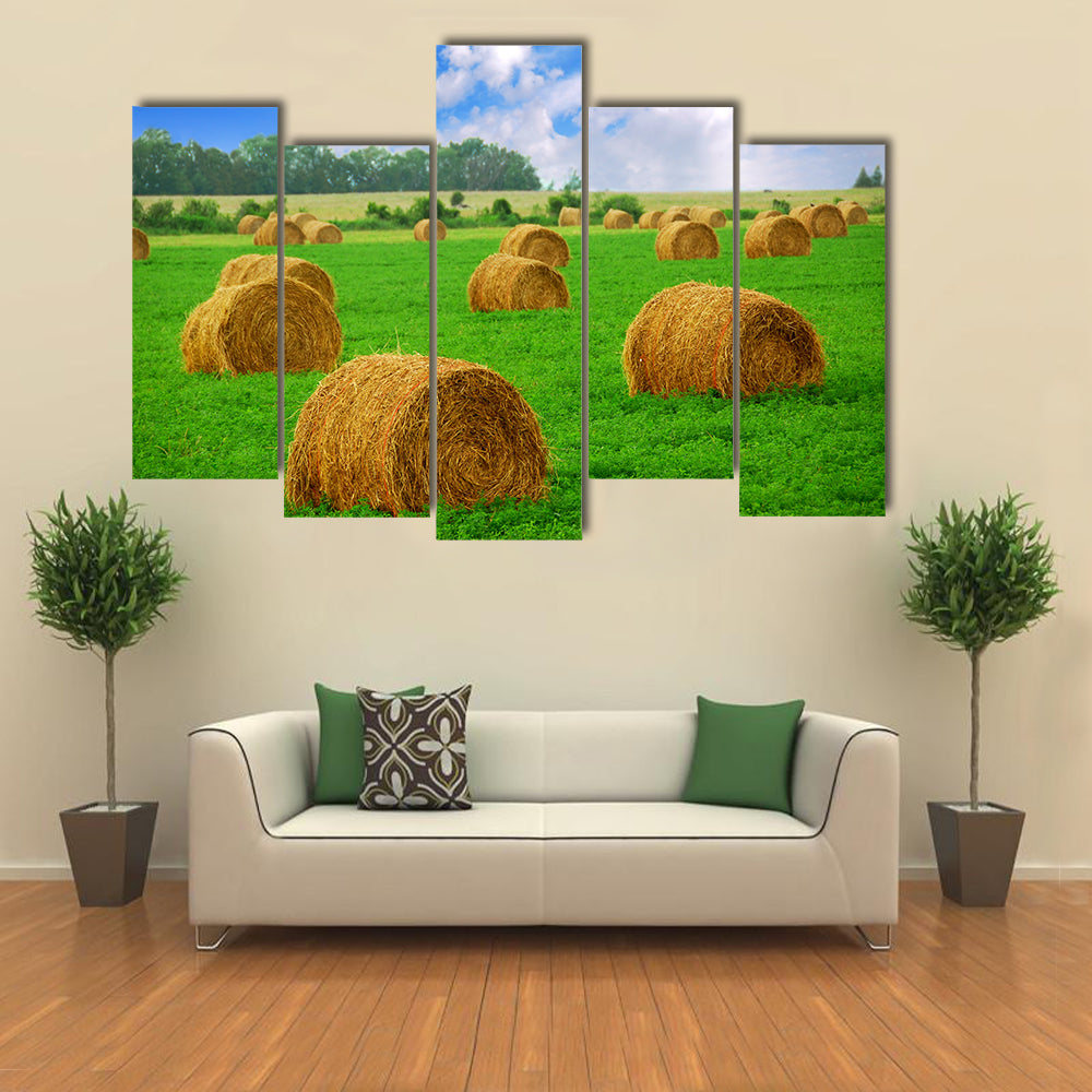 Hay Bales in a Field Canvas Wall Art