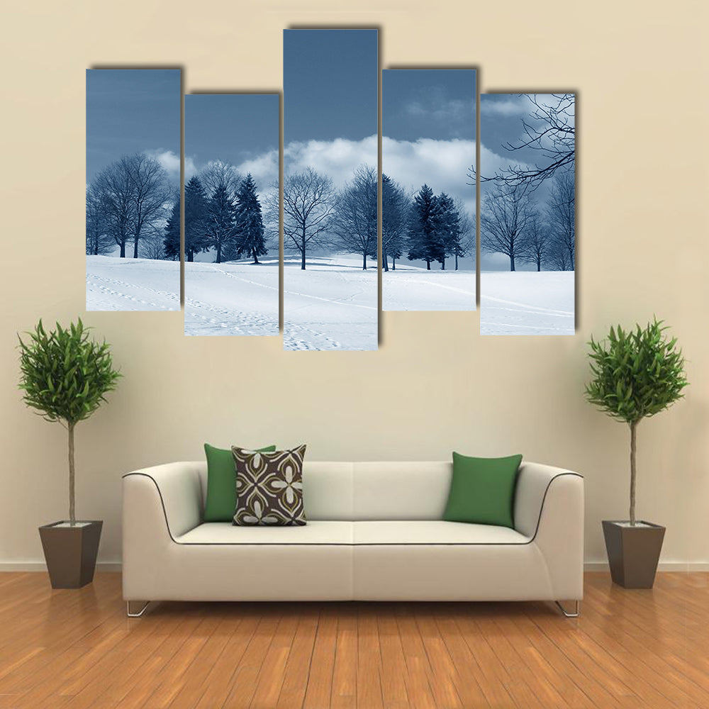Snowy Field with Evergreens and Tracks Canvas Wall Art