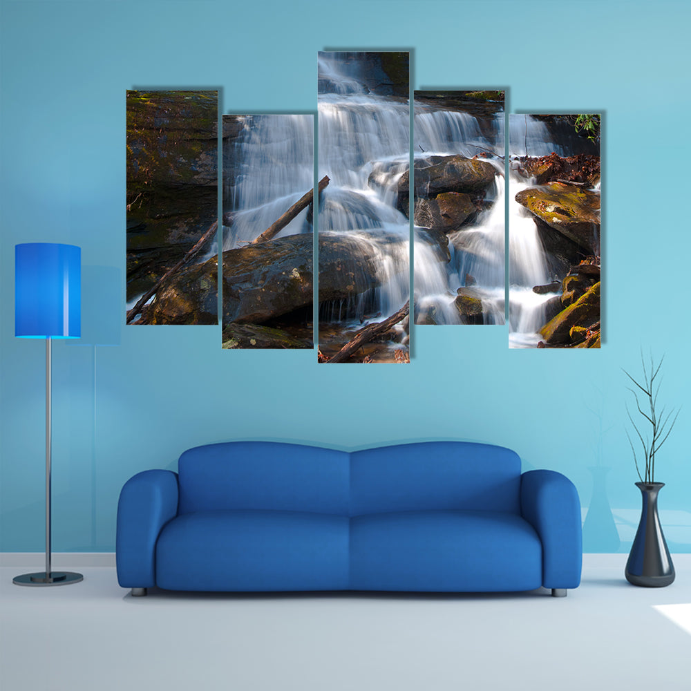 Desoto Falls, Georgia Canvas Wall Art