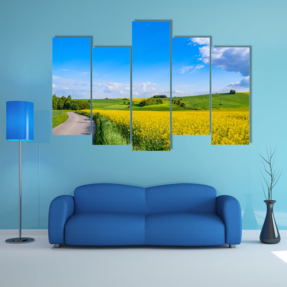 Oilseed field In Italian Countryside Canvas Wall Art