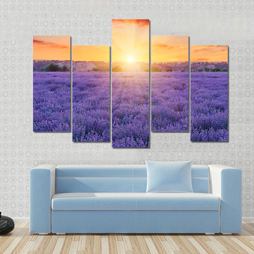 Lavender Fields At Sunset Canvas Wall Art