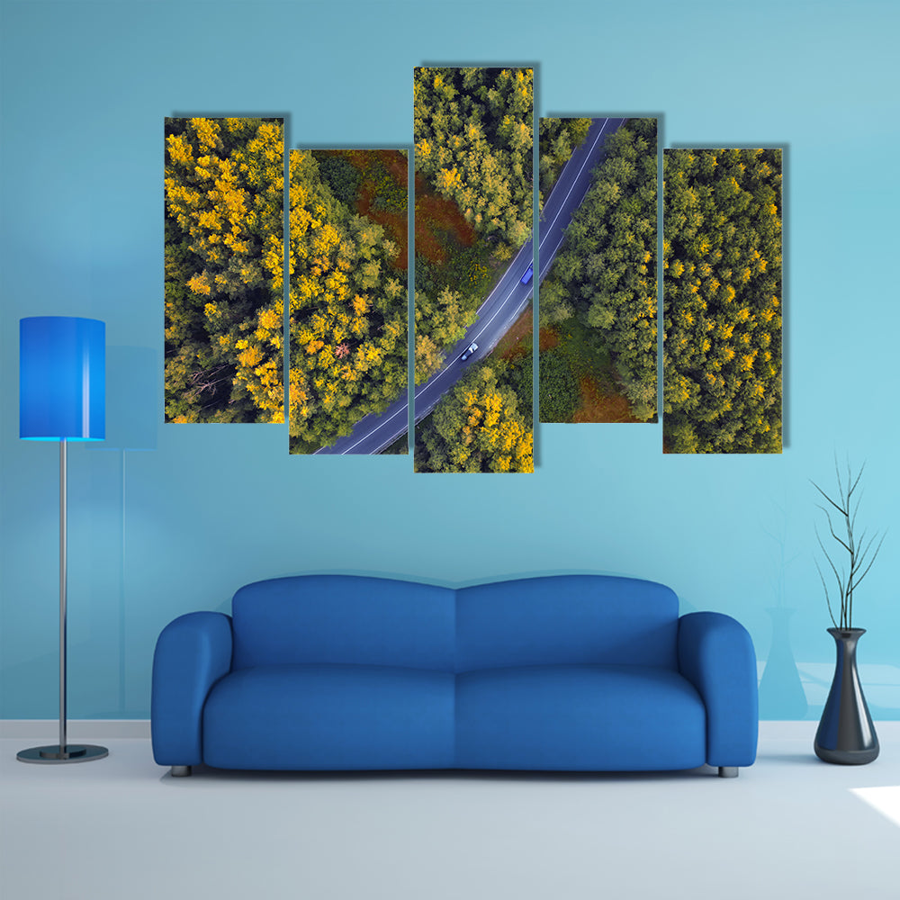 Travel Through Forest Canvas Wall Art