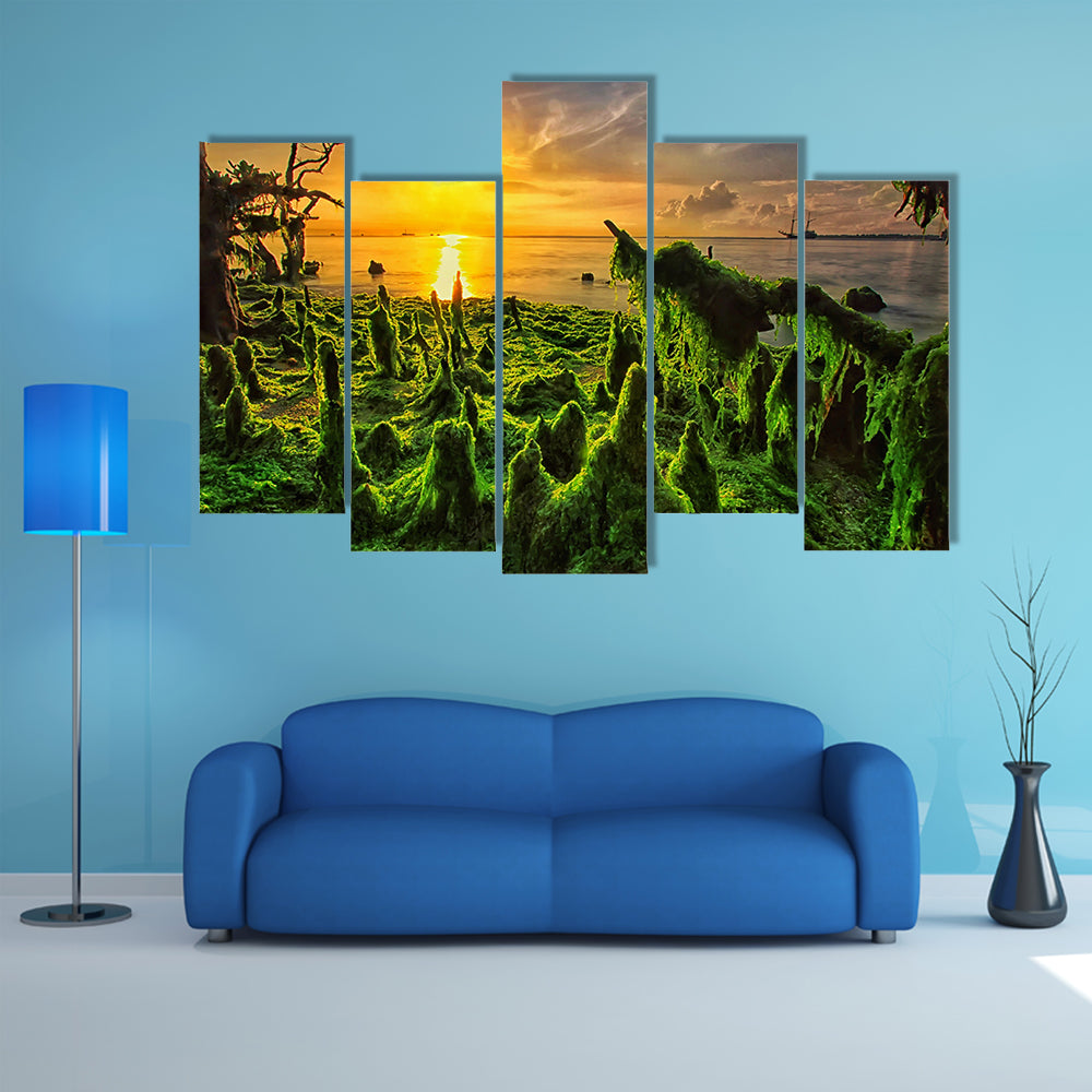 Moss-covered Mangrove Roots at Sunset Canvas Wall Art