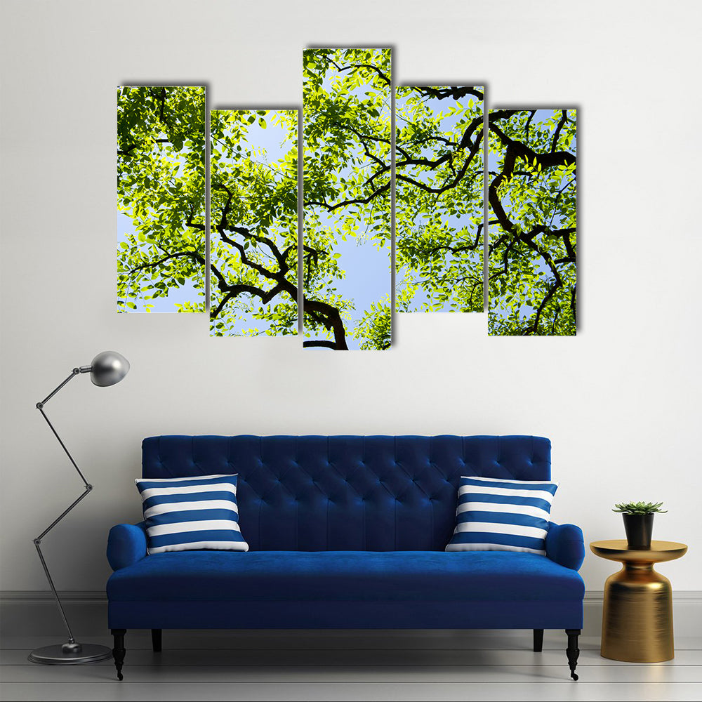 Tree Canopy with Bright Blue Sky Canvas Wall Art
