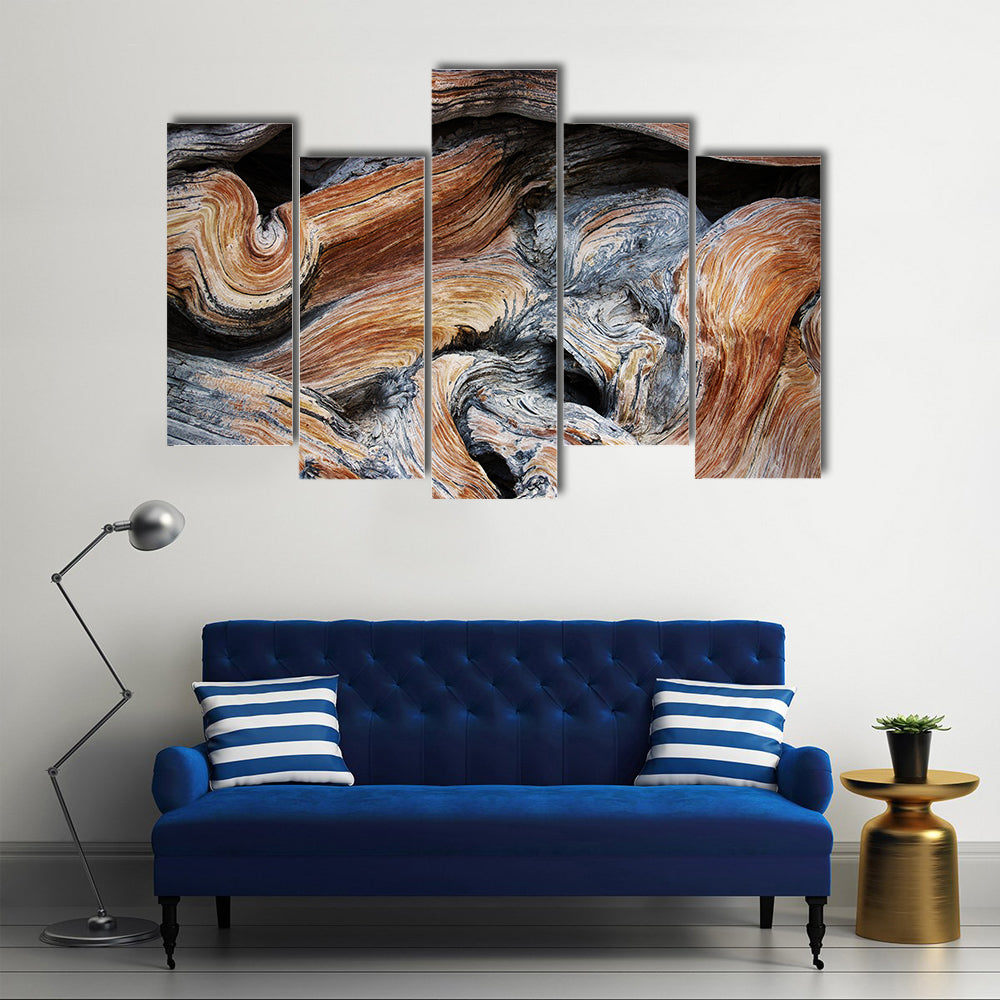 Old Juniper Wood Texture Canvas Wall Art