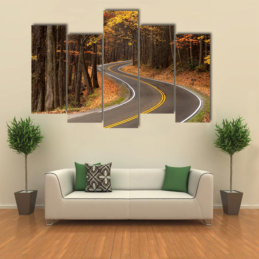 S-curve Road in Great Smokey Mountains Canvas Wall Art
