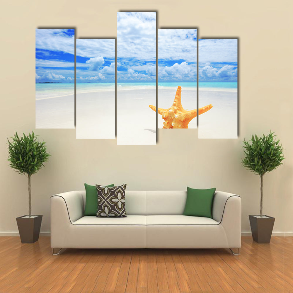 Starfish On Beach At Kuredu Island Maldives Canvas Wall Art