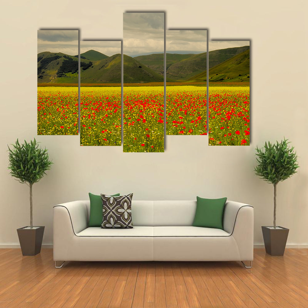 Castelluccio Di Norcia Meadow with Red Poppies Canvas Wall Art